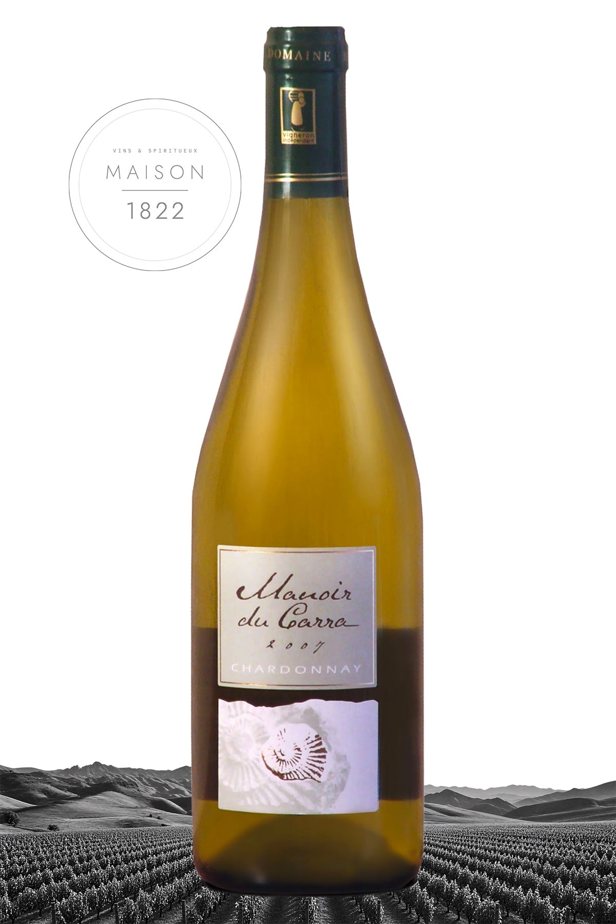 BEAUJOLAIS Blanc 2024