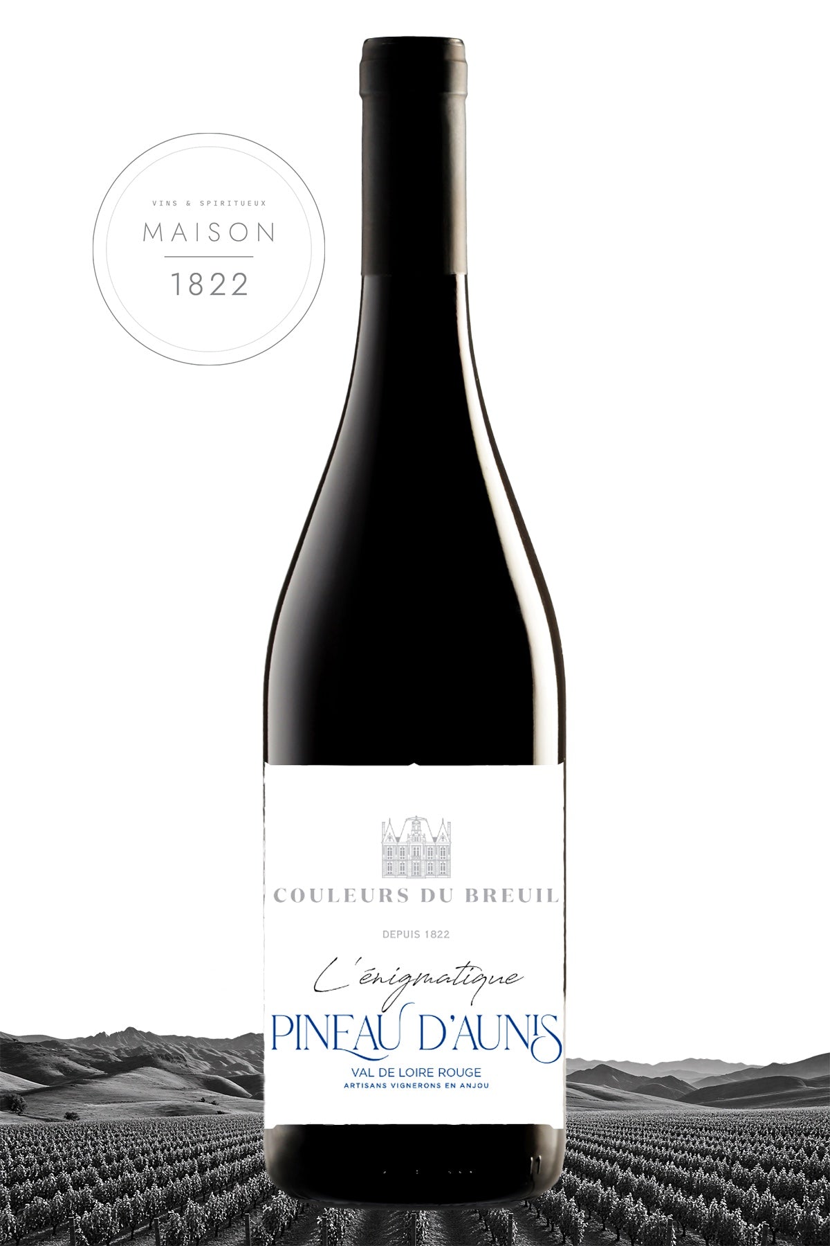 L'ENIGMATIQUE PINEAU D'AUNIS Rouge 2024