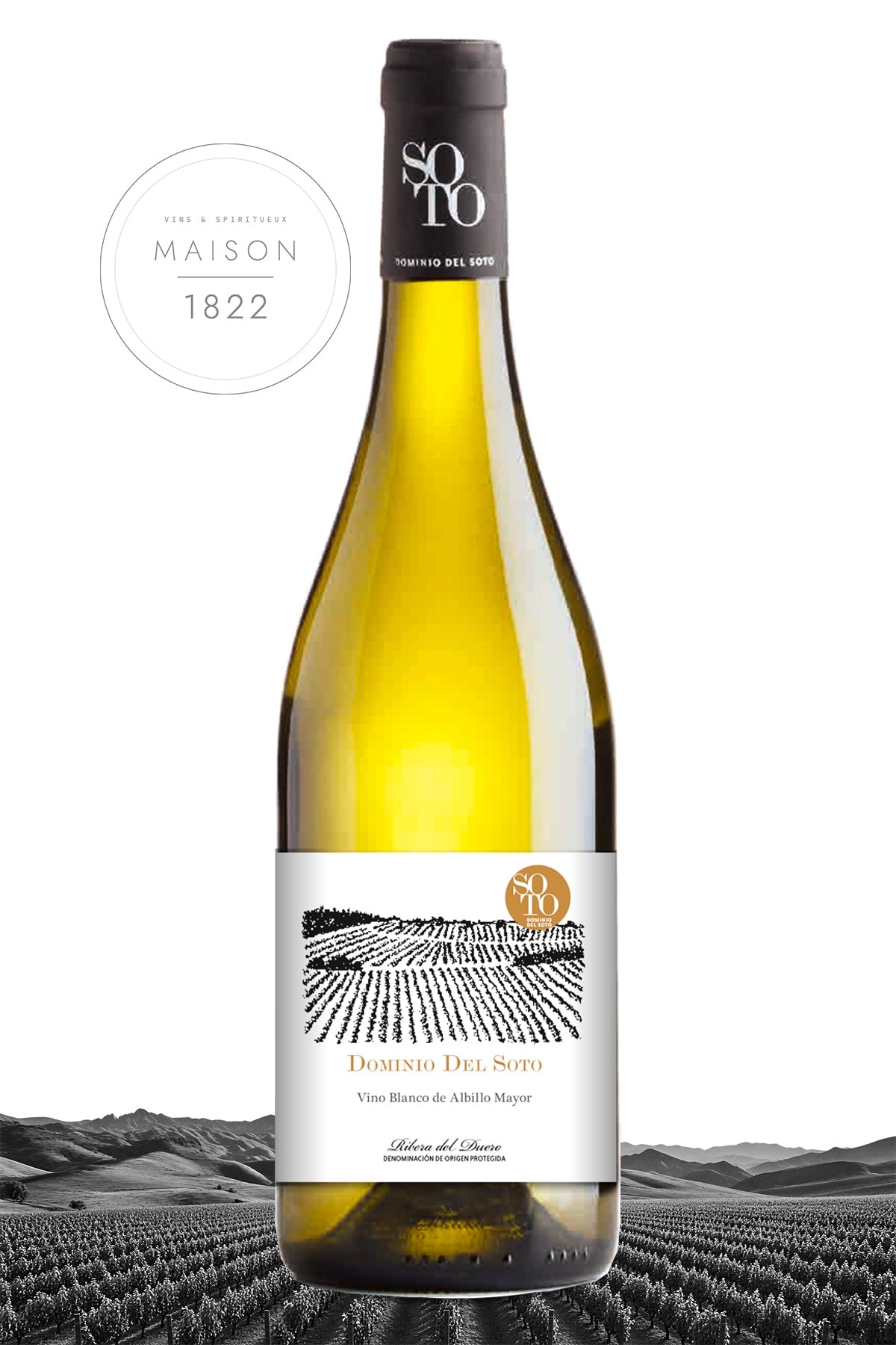 Ribera del Duero Albillo Mayor Blanc 2019