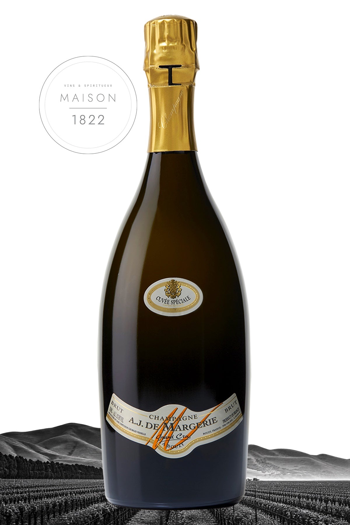 CUVÉE SPÉCIALE Blanc Non millésimé