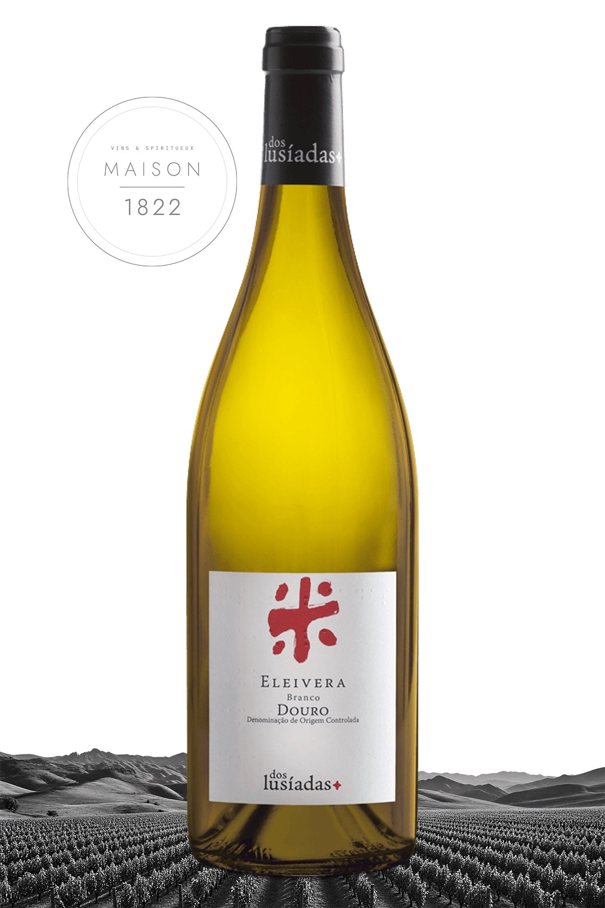 Eleivera Blanc 2023